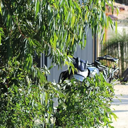 D'hotes 1001 Nuits Montalivet Bed & Breakfast 3*